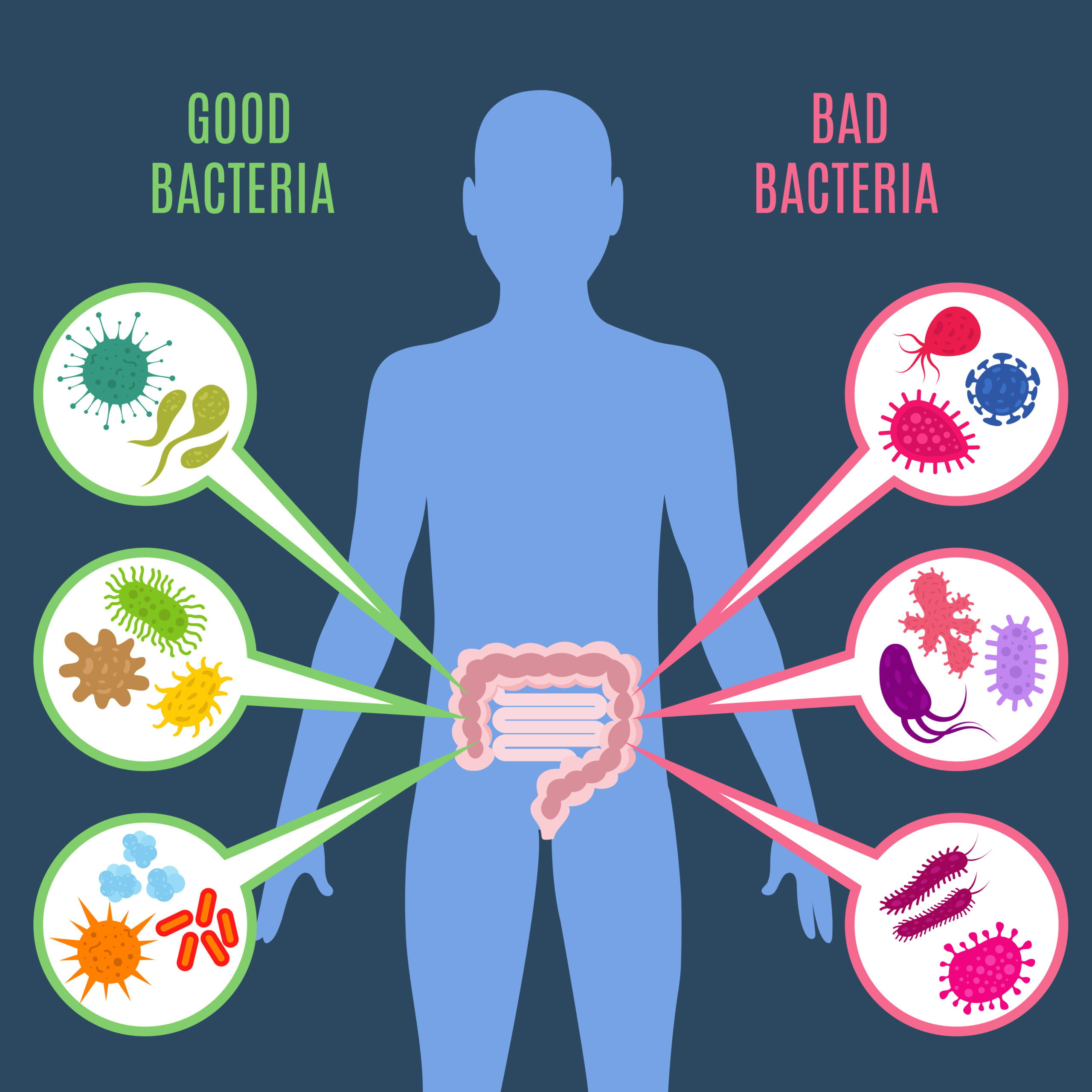 fermentation products